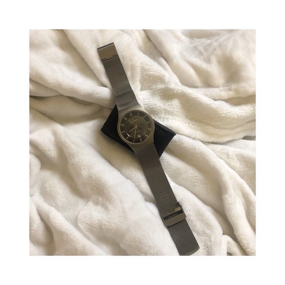 Skagen Other - NWOT- SKAGEN Mens Stainless Steele Slim Golf Watch